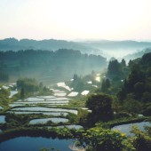 Ruộng bậc thang Hoshitoge – Nét tráng lệ đi cùng lịch sử